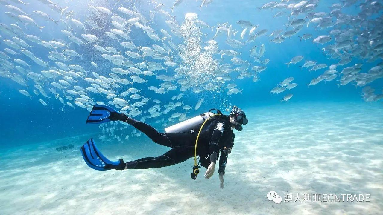 “龙经济”热度狂飙，联名周边炙手可热，海外订单激增