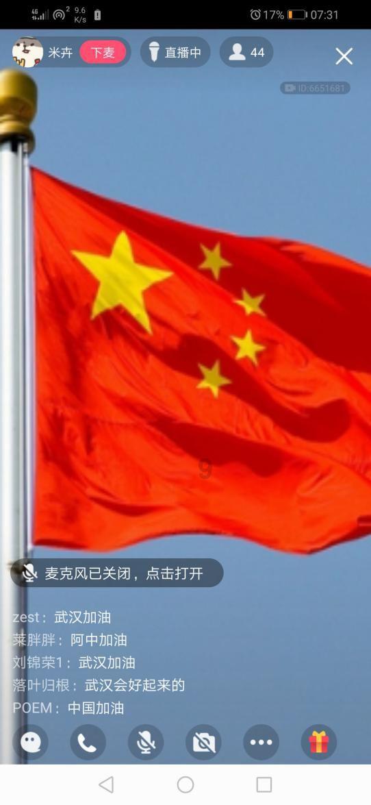奔跑的兔子