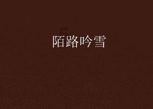 方寸之间见天地