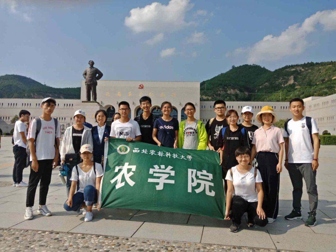 世界冬季极限运动会:谷爱凌带伤参赛夺冠