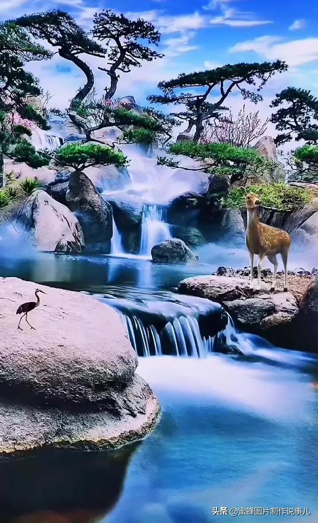 古怪巫师逃离村庄